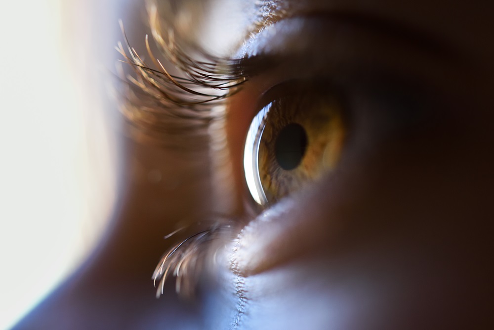 Sai Opticians